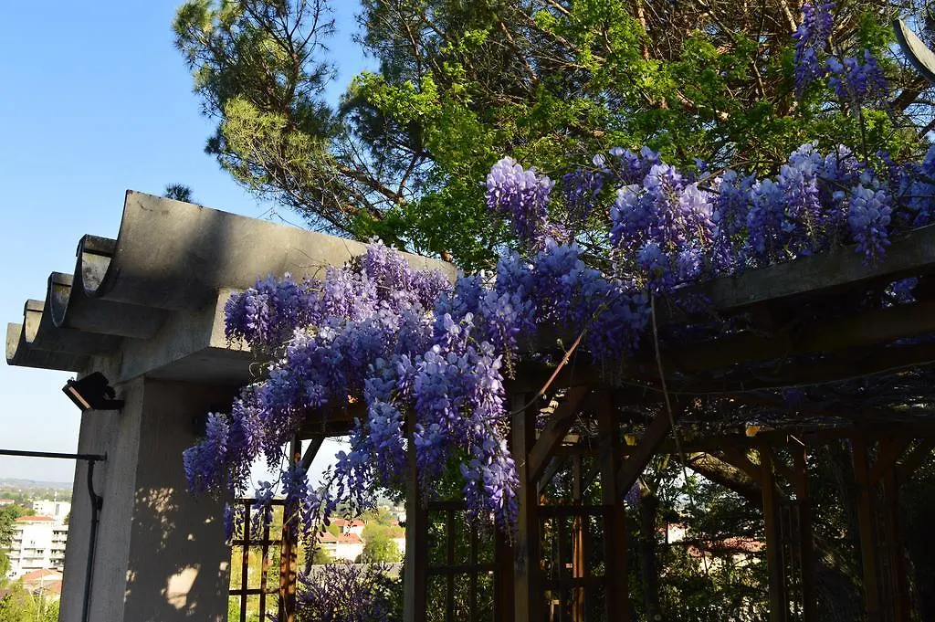 Bed & Breakfast Casa Marta : Suites, Terrasses Et Vue Panoramique Tournon-sur-Rhone